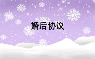 婚后协议