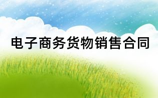电子商务货物销售合同