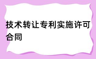 技术转让专利实施许可合同