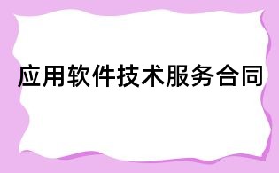 应用软件技术服务合同