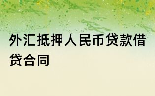 外汇抵押人民币贷款借贷合同