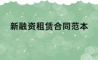 新融资租赁合同范本