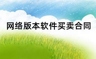 网络版本软件买卖合同