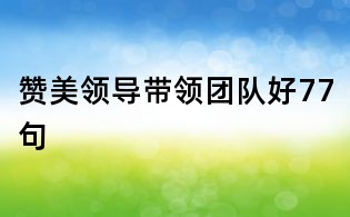 赞美领导带领团队好77句
