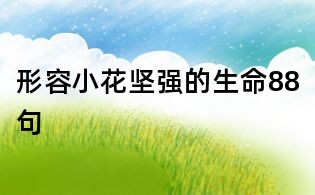 形容小花坚强的生命88句