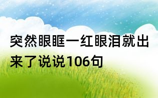 突然眼眶一红眼泪就出来了说说106句