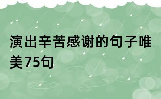 演出辛苦感谢的句子唯美75句