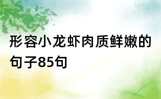形容小龙虾肉质鲜嫩的句子85句