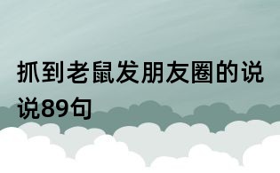 抓到老鼠发朋友圈的说说89句