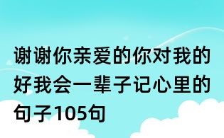 谢谢你亲爱的你对我的好我会一辈子记心里的句子105句