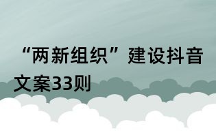 “两新组织”建设抖音文案33则