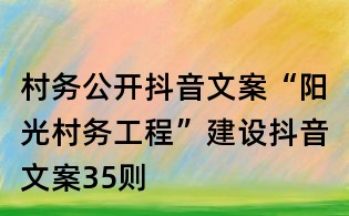 村务公开抖音文案:“阳光村务工程”建设抖音文案35则
