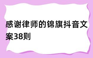 感谢律师的锦旗抖音文案38则