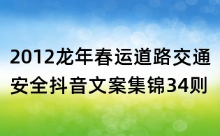 2012龙年春运道路交通安全抖音文案集锦34则