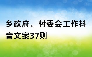 乡政府、村委会工作抖音文案37则