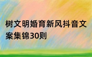 树文明婚育新风抖音文案集锦30则