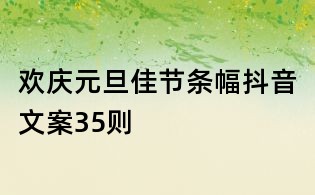 欢庆元旦佳节条幅抖音文案35则