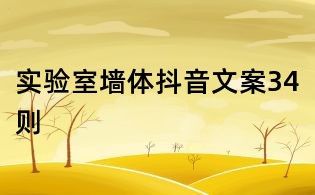 实验室墙体抖音文案34则