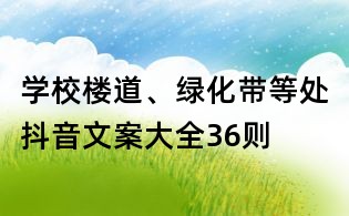 学校楼道、绿化带等处抖音文案大全36则