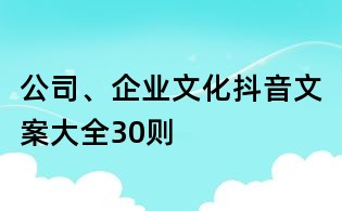 公司、企业文化抖音文案大全30则