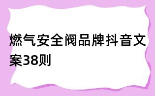 燃气安全阀品牌抖音文案38则