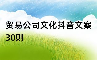 贸易公司文化抖音文案30则