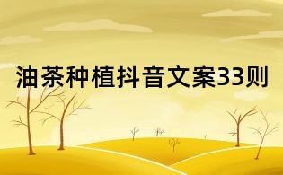 油茶种植抖音文案33则