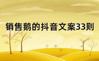 销售鹅的抖音文案33则