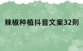 辣椒种植抖音文案32则