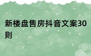 新楼盘售房抖音文案30则