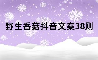 野生香菇抖音文案38则
