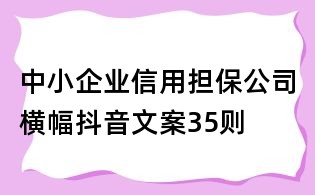 中小企业信用担保公司横幅抖音文案35则