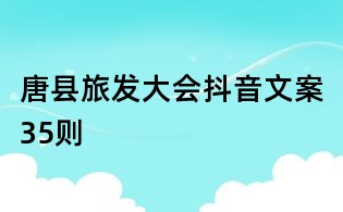唐县旅发大会抖音文案35则