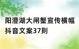 阳澄湖大闸蟹宣传横幅抖音文案37则