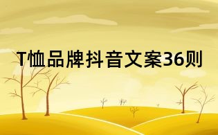 T恤品牌抖音文案36则