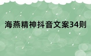 海燕精神抖音文案34则