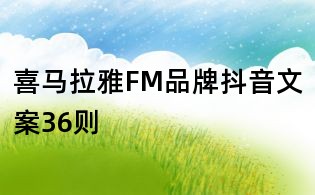 喜马拉雅FM品牌抖音文案36则