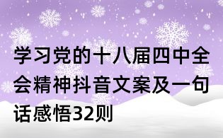 学习党的十八届四中全会精神抖音文案及一句话感悟32则