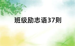 班级励志语37则