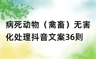 病死动物（禽畜）无害化处理抖音文案36则