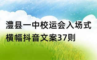 澧县一中校运会入场式横幅抖音文案37则