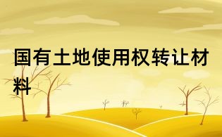 国有土地使用权转让材料