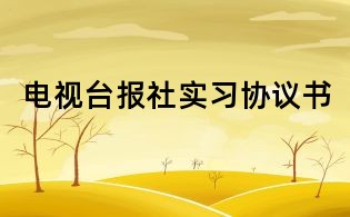 电视台报社实习协议书
