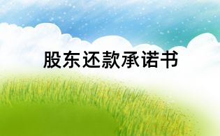 股东还款承诺书