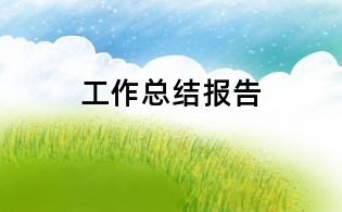 工作总结报告