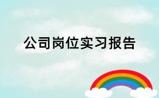 公司岗位实习报告