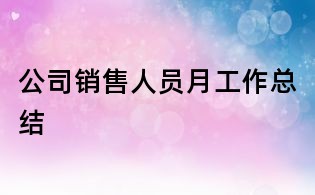 公司销售人员月工作总结