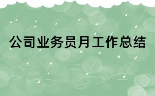 公司业务员月工作总结
