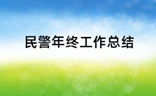 民警年终工作总结