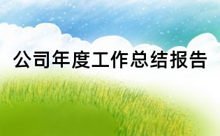 公司年度工作总结报告